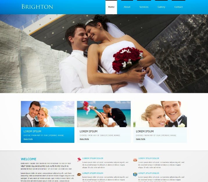 70 Free Responsive HTML5 CSS3 Templates - Webprecis