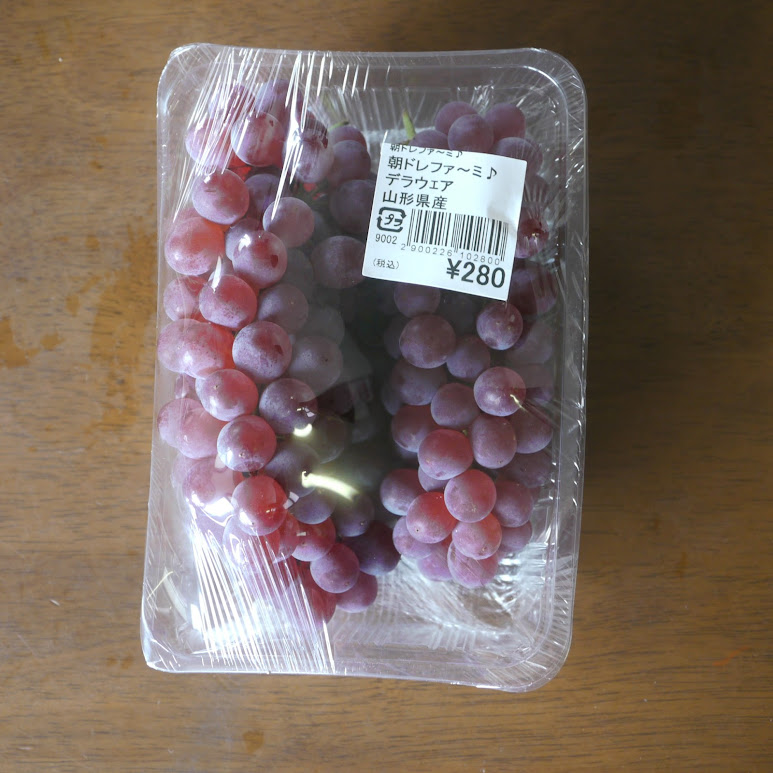 Food Science Japan Photo Delaware Grapes from Yamagata