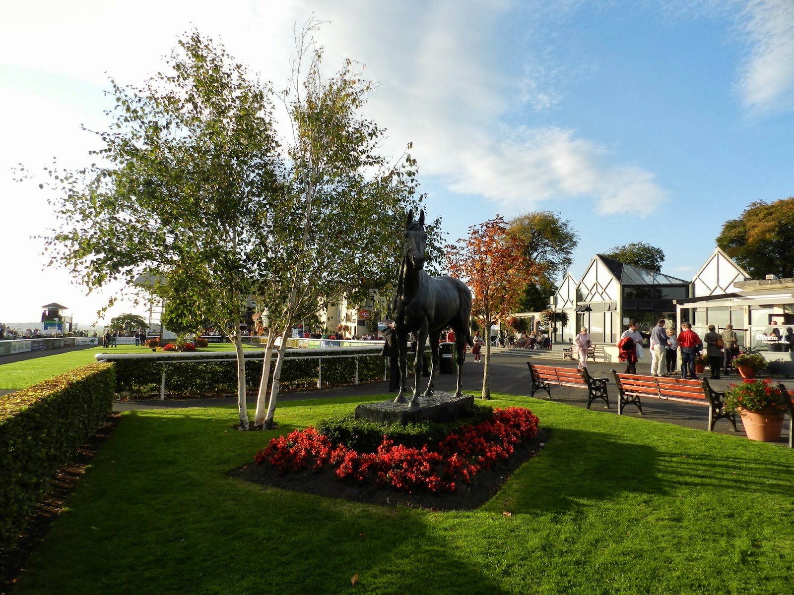 Irish Cultural Blog The Curragh Racecourse Co. Kildare, Ireland