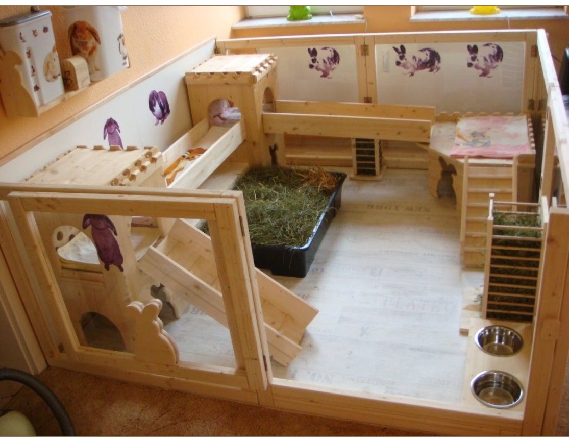 Jump Into The Best Rabbit Playpens With Our Top 10 Picks And Buying