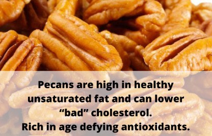 Pecans Healthy for Your Cholesterol Levels Pecans Healthy for Your Cholesterol Levels