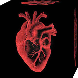 dictionar medical wiki aritmie cardiaca simptome tratament