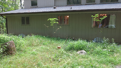 Cacapon Mountain casa, Friday, July 01, 2016, 9:26:22 AM