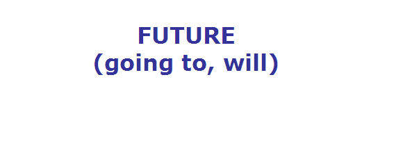 verb WILL in future tense