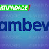 Trainee AMBEV