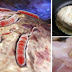 ONCOLOGISTS URGE YOU TO STOP EATING THESE 8 FOODS THAT ARE PROVEN TO CAUSE CANCER!