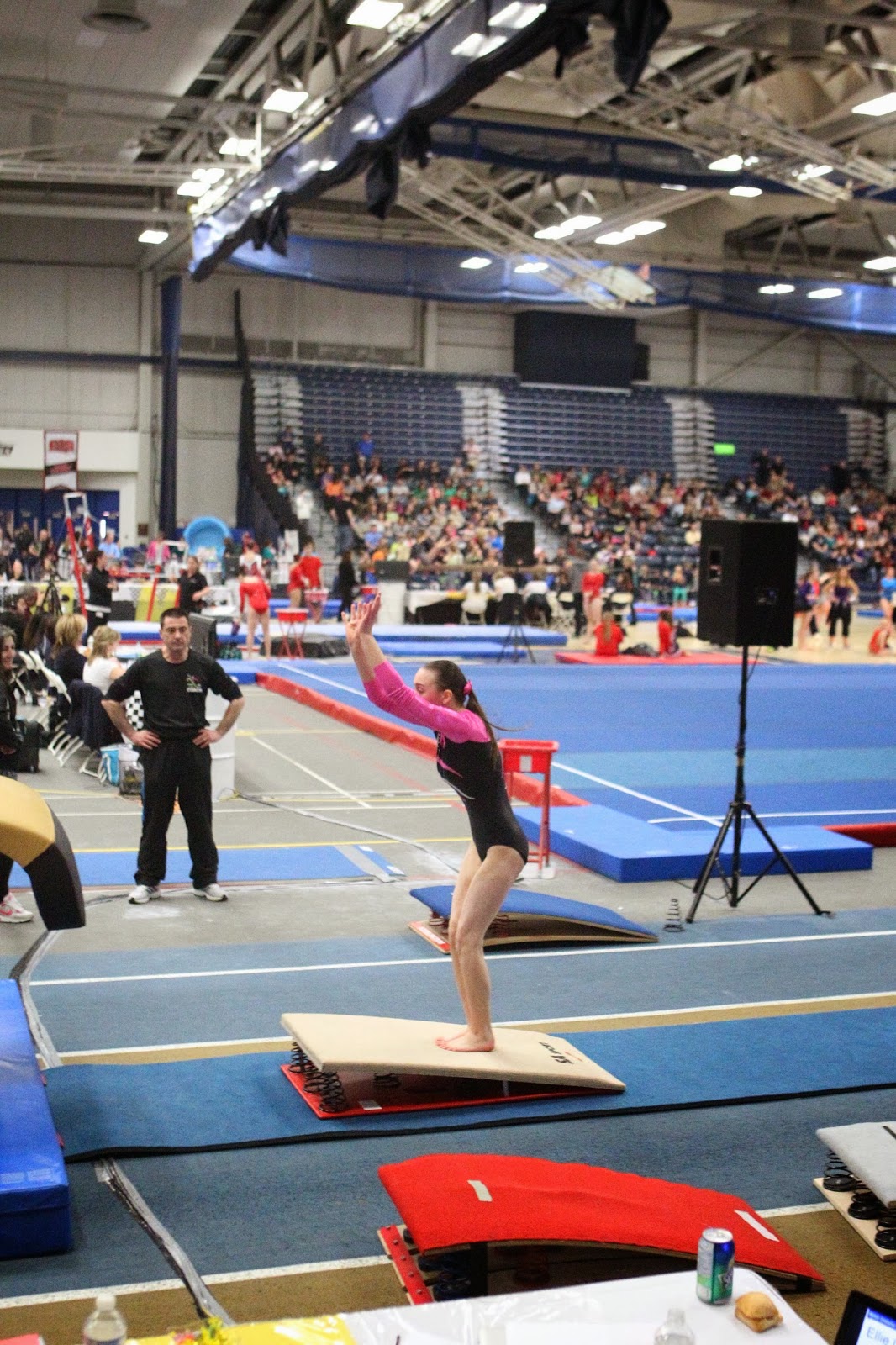 The Physics of the Gymnastics Vault Types of Forces