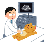 エコー検査のイラスト（猫）