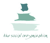The Social Organization website (About Social Capital / my second book)