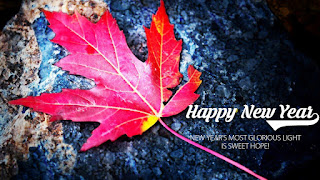 happy new year 2017 images