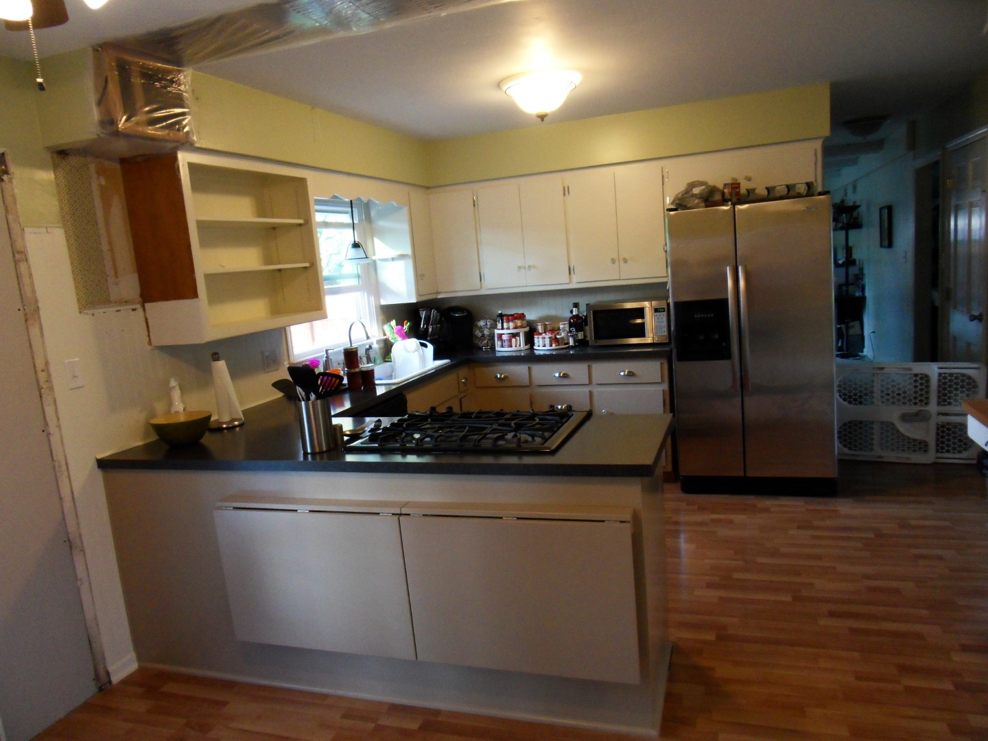 Life of Gregory D: Kitchen Renovation - Part 2