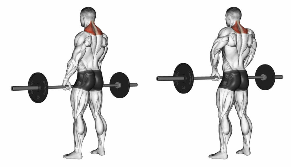 Massive Traps 6 Exercises Must Do