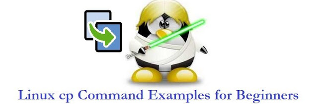 cp Command, Linux Tutorial and Material, LPI Study Material, LPI Guides