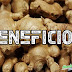 Gengibre! Benefícios dessa raiz tuberosa