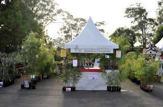 bamboo creations victoria at 2013 Sydney Collectors plant fair
