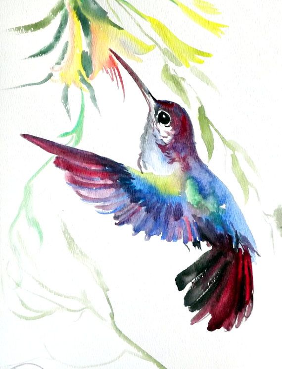 Water Painted Hummingbird Chitraakala