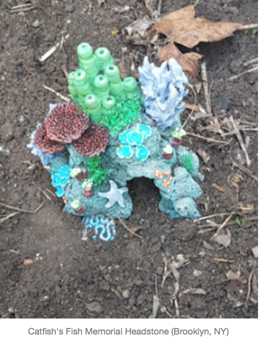 Backyard Burial Company Pet Funerals and Memorial Tips