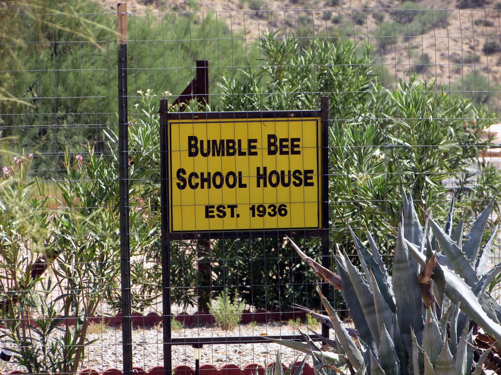 Bumble Bee, AZ