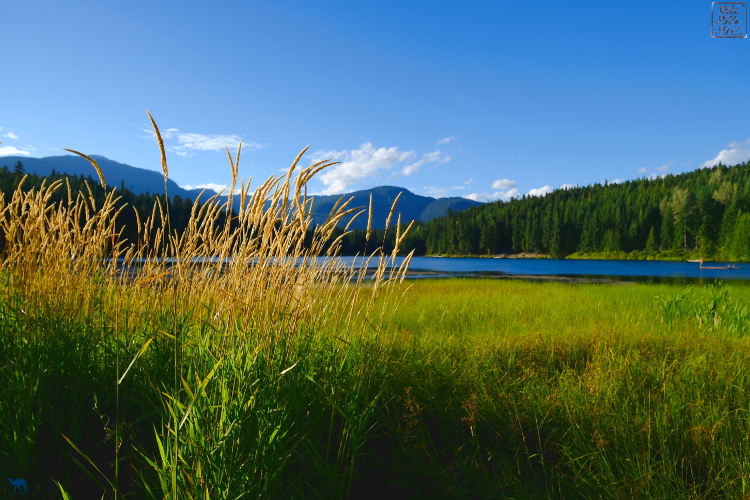 Le Chameau Bleu - Whistler Lost lake -Whistler Village - Canada - British Columbia Le Chameau Bleu - Whistler Lost lake -Whistler Village - Canada - British Columbia