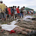 PNoy Gov’t stops ‘Yolanda’ body count at 4,011