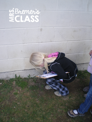 FREE Signs of Spring Scavenger Hunt Do you take your students outdoors to learn? You should! Students LOVE exploring nature! In this activity, students will search for spring items on the list. Take learning outside! #freebies #seasons #science #kindergarten #1stgrade #spring