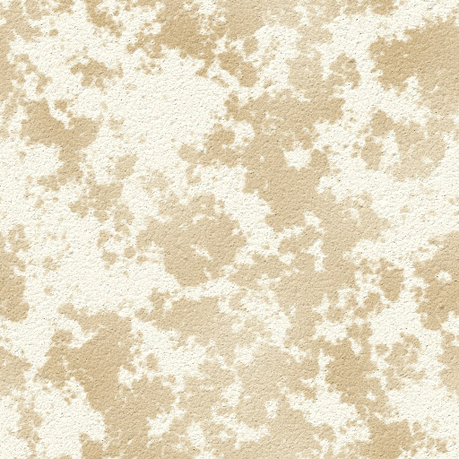 Eggshell and Spots 1 Eggshell and Spots 1