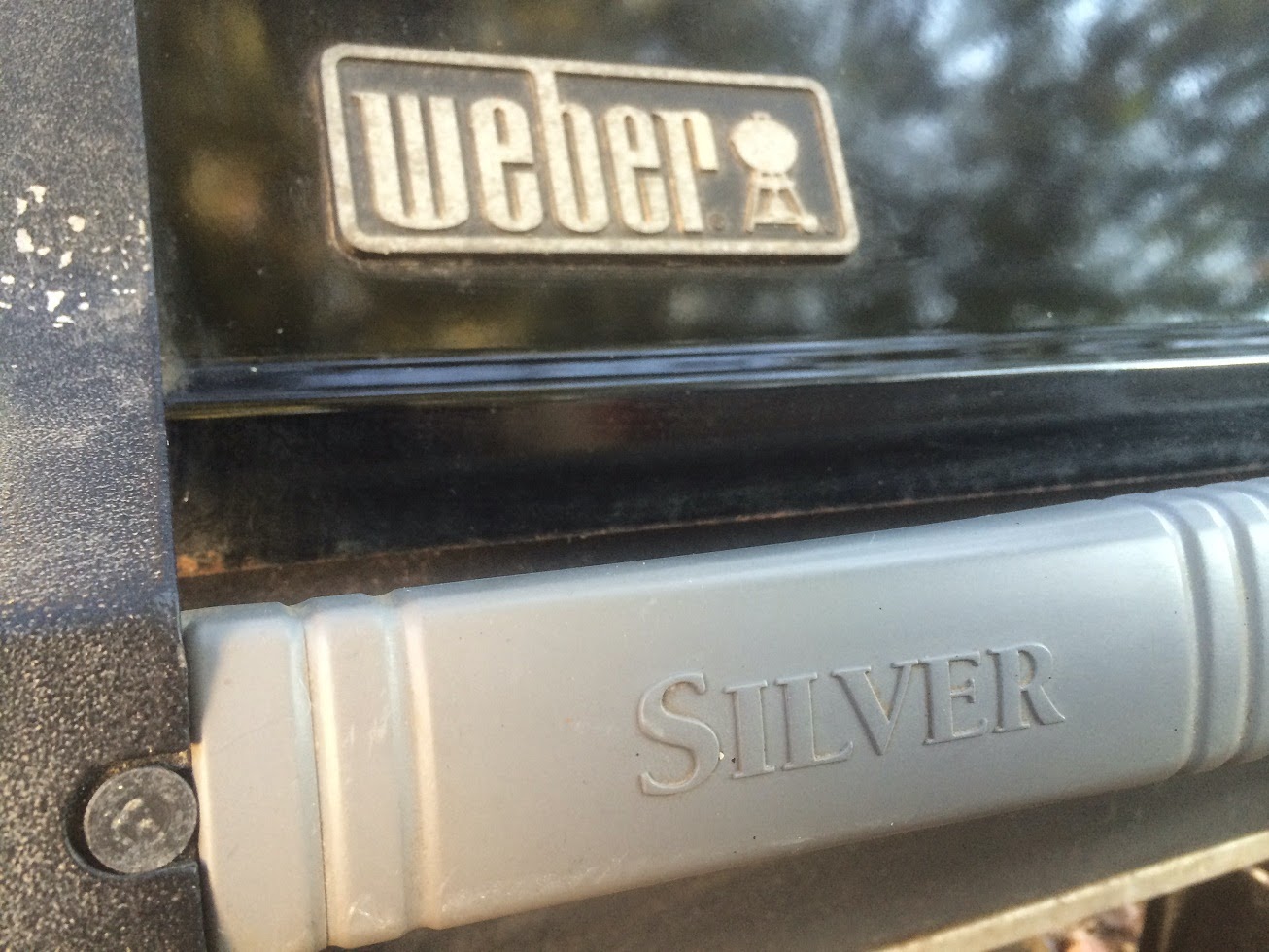 Weber Genesis Silver