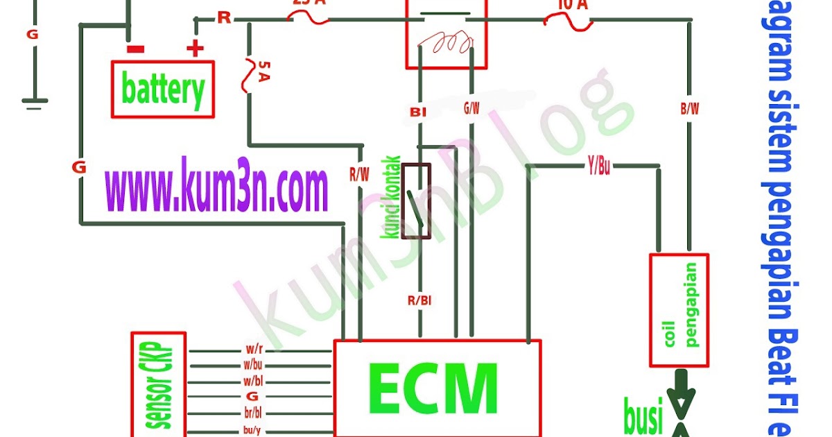 Wiring Diagram Beat Esp