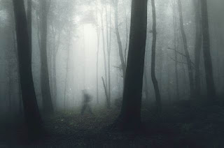 Apparition in foggy woods