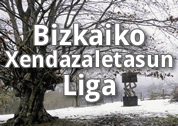 Bizkaiko_xendazaletasun_liga