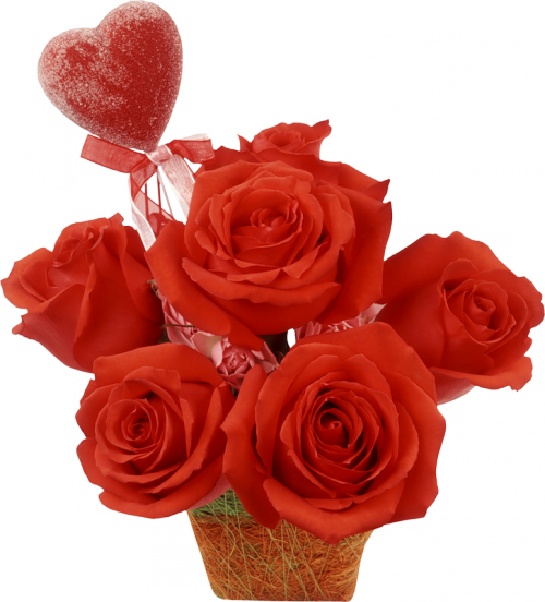 Valentine's Day roses