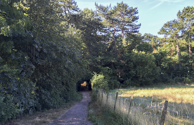 Walk round the Hawkwood Estate 35, 30 August 2016 Walk round the Hawkwood Estate 35, 30 August 2016