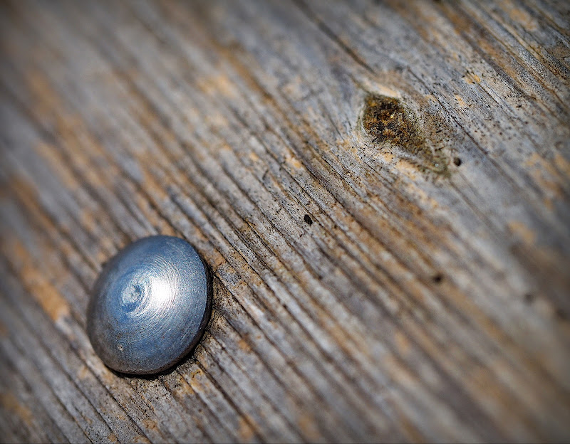 Olympus OMD EM1 + M.Zuiko 60 Macro a 60 (120) mm • ISO 200 • 1/8000 • f/2,8