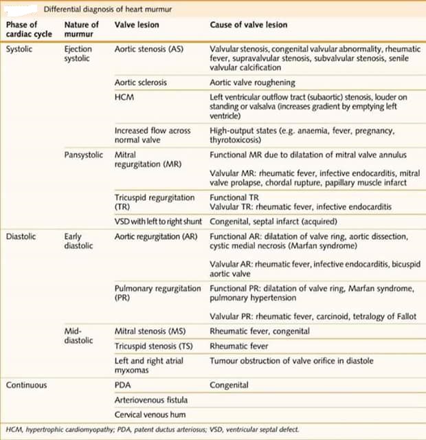 2 6 heart murmur in adult 2 6 heart murmur in adult