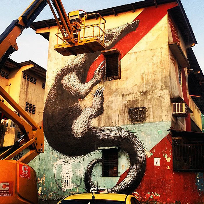 ROA New Murals In Panama City, Panama StreetArtNews