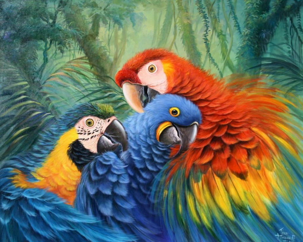 EL ARTE Y ACTIVIDAD CULTURAL: Lindas guacamayas y loros de la selva  pintadas en cuadros al óleo