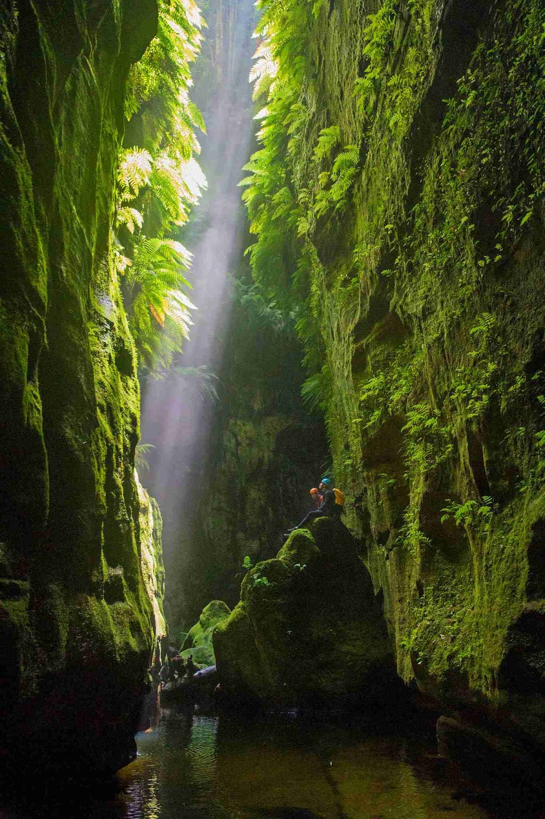 Claustral Canyon Of Blue Mountains National Park In New