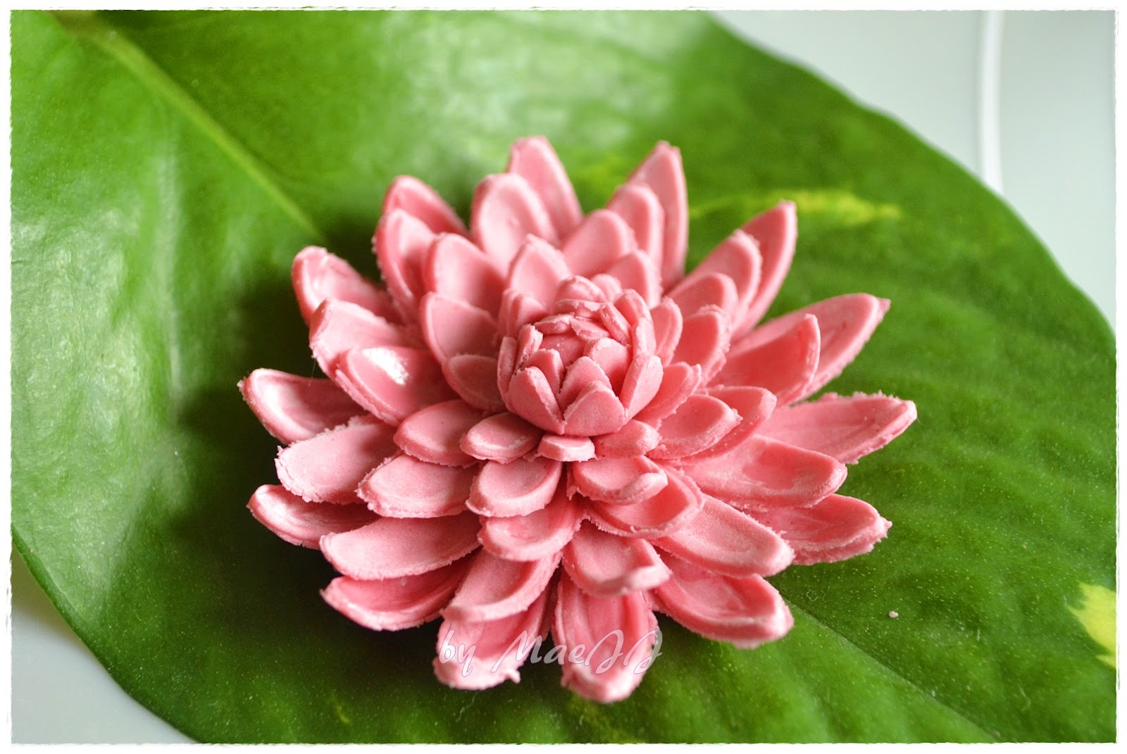 Cooking and Baking with MaeJJ How to make Chrysanthemum Gumpaste