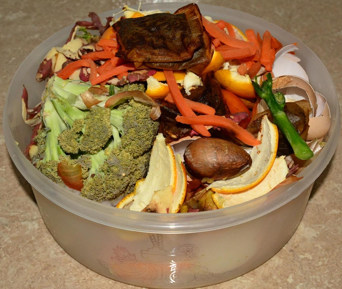 Roots 'n' Shoots Utilisation of Kitchen Scraps