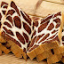 Step-By-Step Bread Dough Recipe | Leopard Print Bread