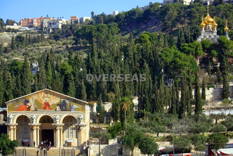 MONTE DE LOS OLIVOS, VIA DOLOROSA Y TEMPLO DE LA ROCA EN JERUSALEN MONTE DE LOS OLIVOS, VIA DOLOROSA Y TEMPLO DE LA ROCA EN JERUSALEN