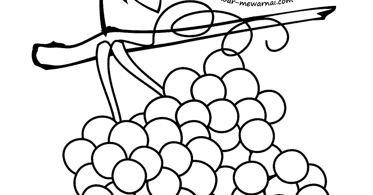 gambar mewarnai buah