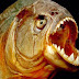 6 year-old girl dies after being eaten by PIRANHAS!
