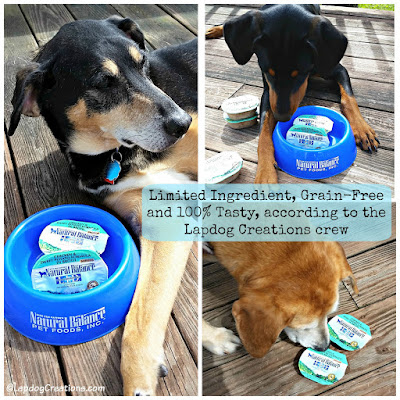 Limited Ingredients, Grain Free and 100% Tasty - Natural Balance LID Wet Cups #review #dogfood #ChewyInfluencer #LapdogCreations ©LapdogCreations