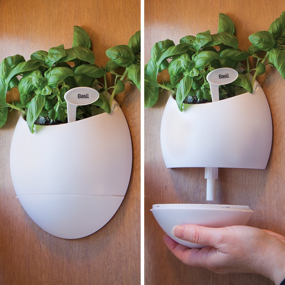 A Wonderful Wall Hanging Planter with Self Watering Abilities 101