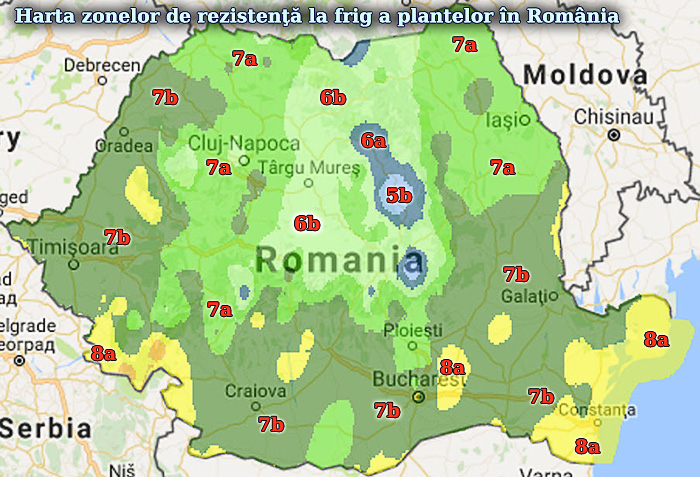 Harta%2Bzonelor%2Bde%2Brezistenta%2Bla%2Bfrig%2Ba%2Bplantelor%2Bin%2BRomania.jpg