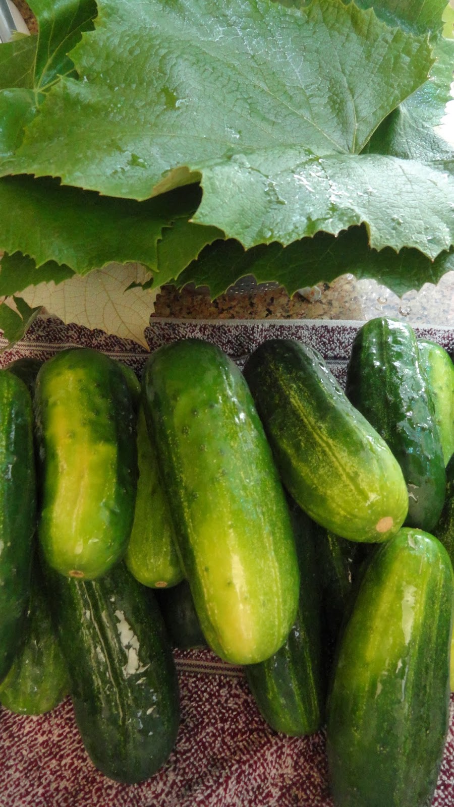 Canarella Why Do I Cut Off The End Of My Pickles For Canning