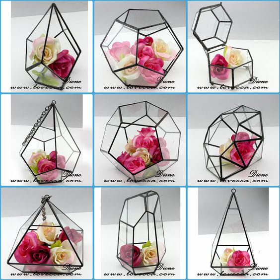 geometric glass terrarium wholesale How to Create Your ultimate Terrarium