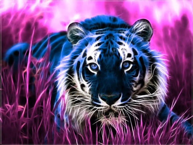 Tigre 3D 1920x1080 Fonds d�écran HD