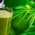5 Incredible Reasons You Should Start Juicing Cannabis. The Results Will AMAZE You!